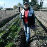 Il 51enne Giuseppe Patella, proprietario del campo di zafferano